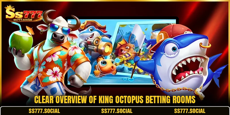 Clear overview of King Octopus betting rooms