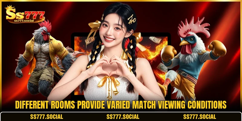 Different rooms provide varied match viewing conditions