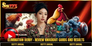 Elimination Derby - Review Knockout Cards And Results