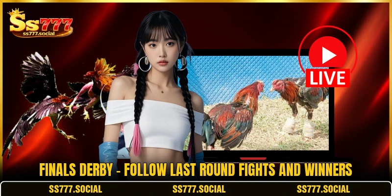 Finals Derby - Follow Last Round Fights And Winners