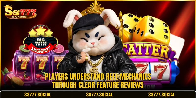 Players understand reel mechanics through clear feature reviews Players understand reel mechanics through clear feature reviews