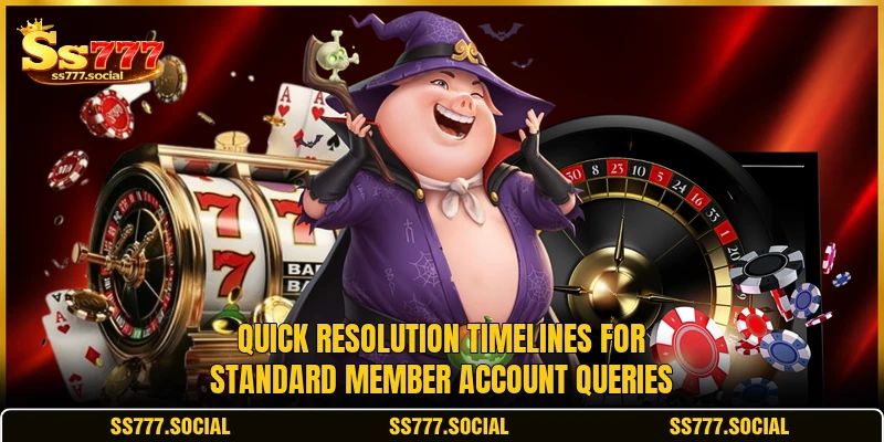 Quick resolution timelines for standard member account queries