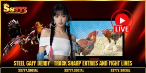 Steel Gaff Derby - Track Sharp Entries And Fight Lines